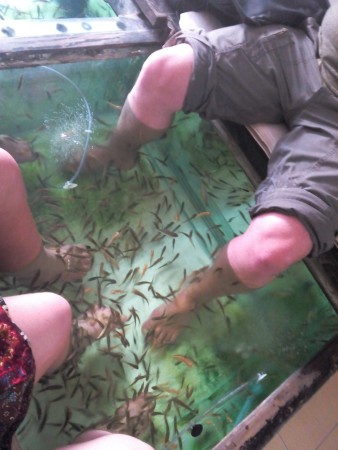 Les petits poissons qui nous mangent les pieds :)
